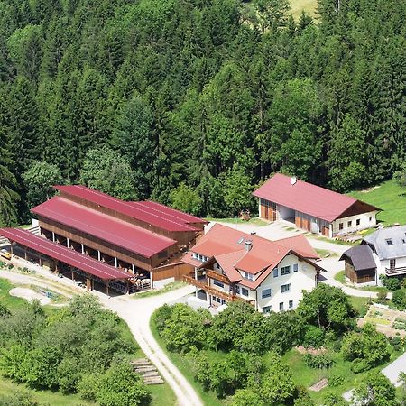 Ferienwohnungen Bauernhof Schilcher Sankt Stefan im Lavanttal Esterno foto