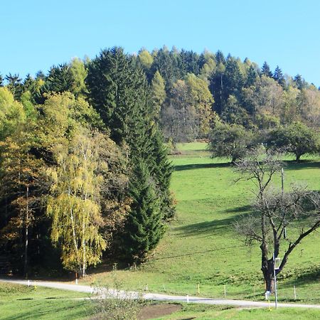 Ferienwohnungen Bauernhof Schilcher Sankt Stefan im Lavanttal Esterno foto