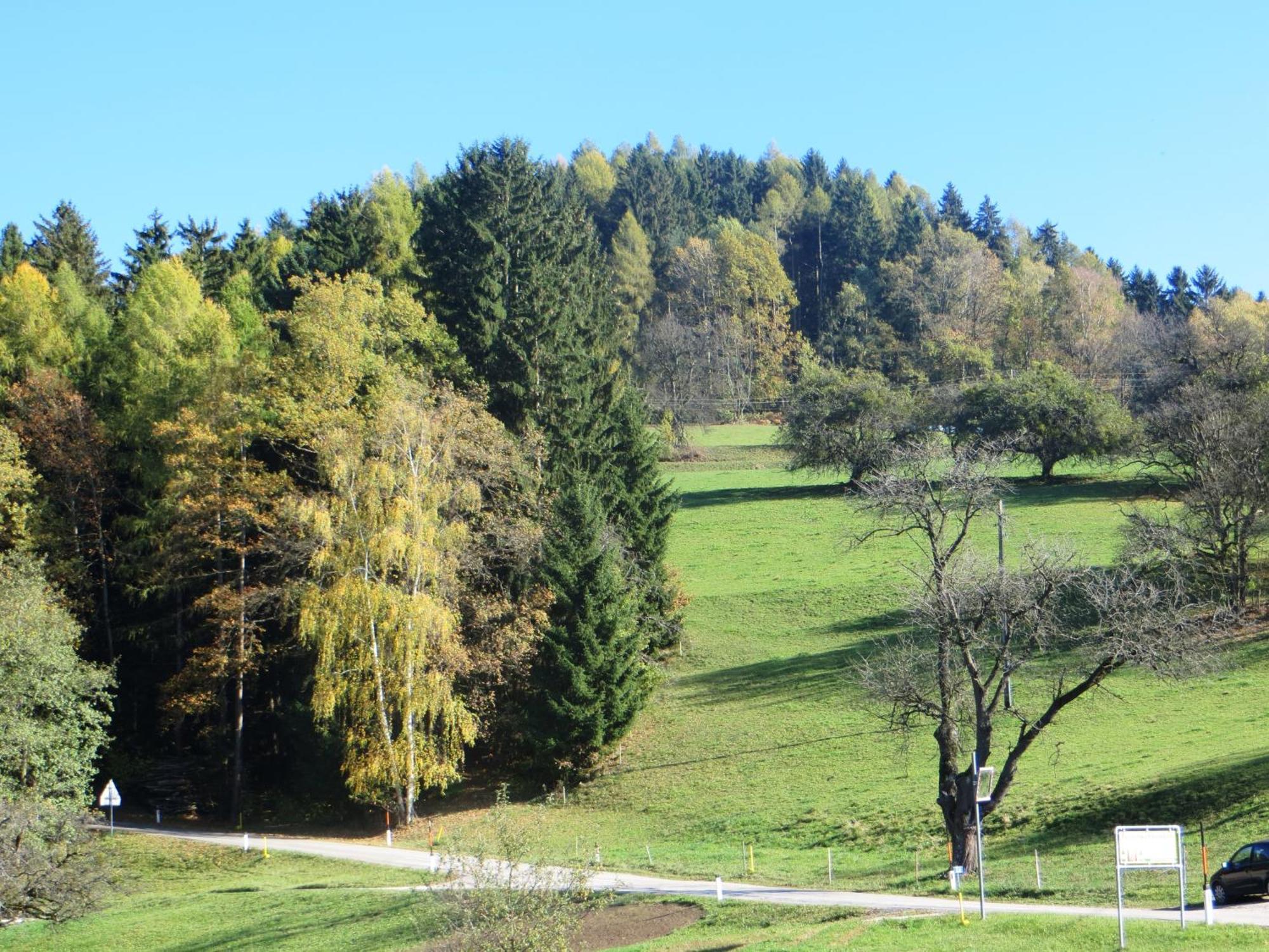 Ferienwohnungen Bauernhof Schilcher Sankt Stefan im Lavanttal Esterno foto