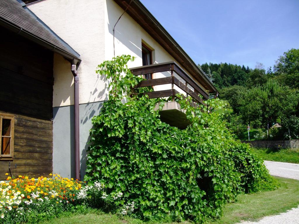 Ferienwohnungen Bauernhof Schilcher Sankt Stefan im Lavanttal Esterno foto