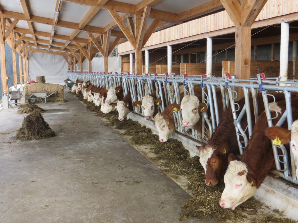 Ferienwohnungen Bauernhof Schilcher Sankt Stefan im Lavanttal Esterno foto