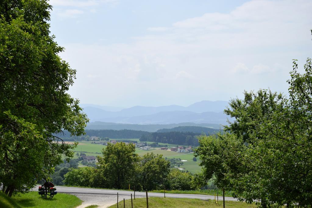 Ferienwohnungen Bauernhof Schilcher Sankt Stefan im Lavanttal Esterno foto