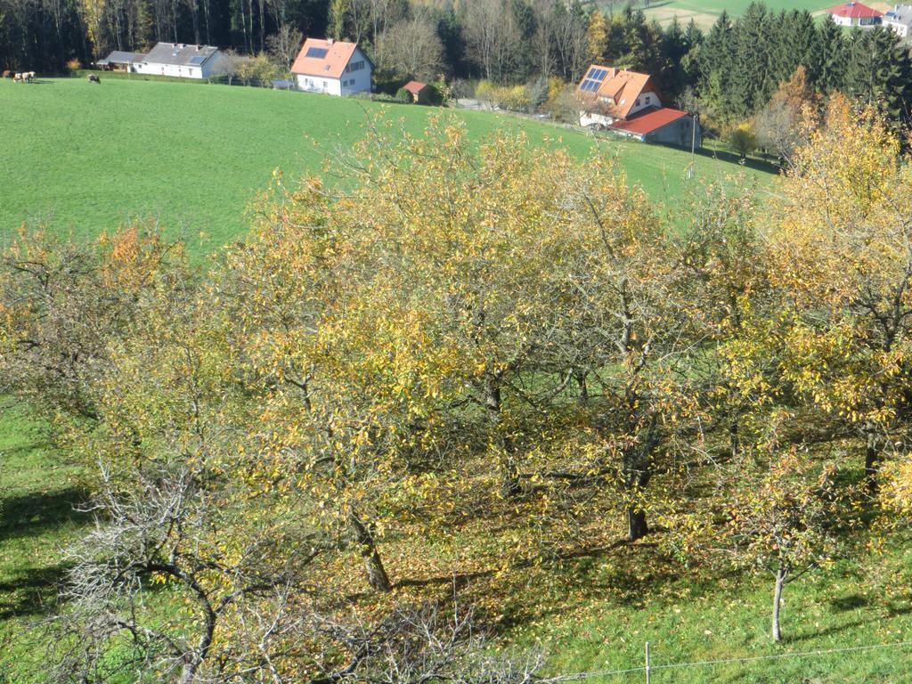 Ferienwohnungen Bauernhof Schilcher Sankt Stefan im Lavanttal Esterno foto