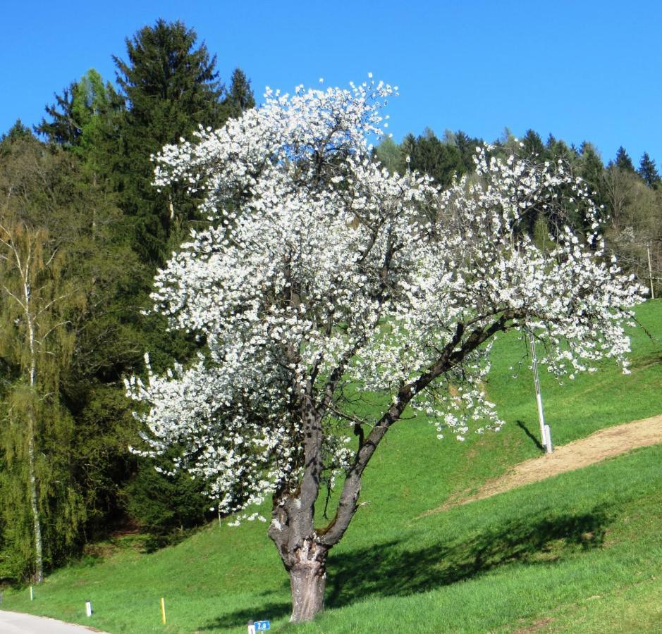 Ferienwohnungen Bauernhof Schilcher Sankt Stefan im Lavanttal Esterno foto