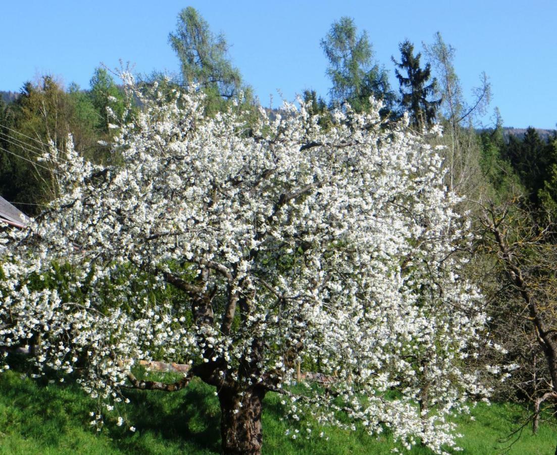 Ferienwohnungen Bauernhof Schilcher Sankt Stefan im Lavanttal Esterno foto