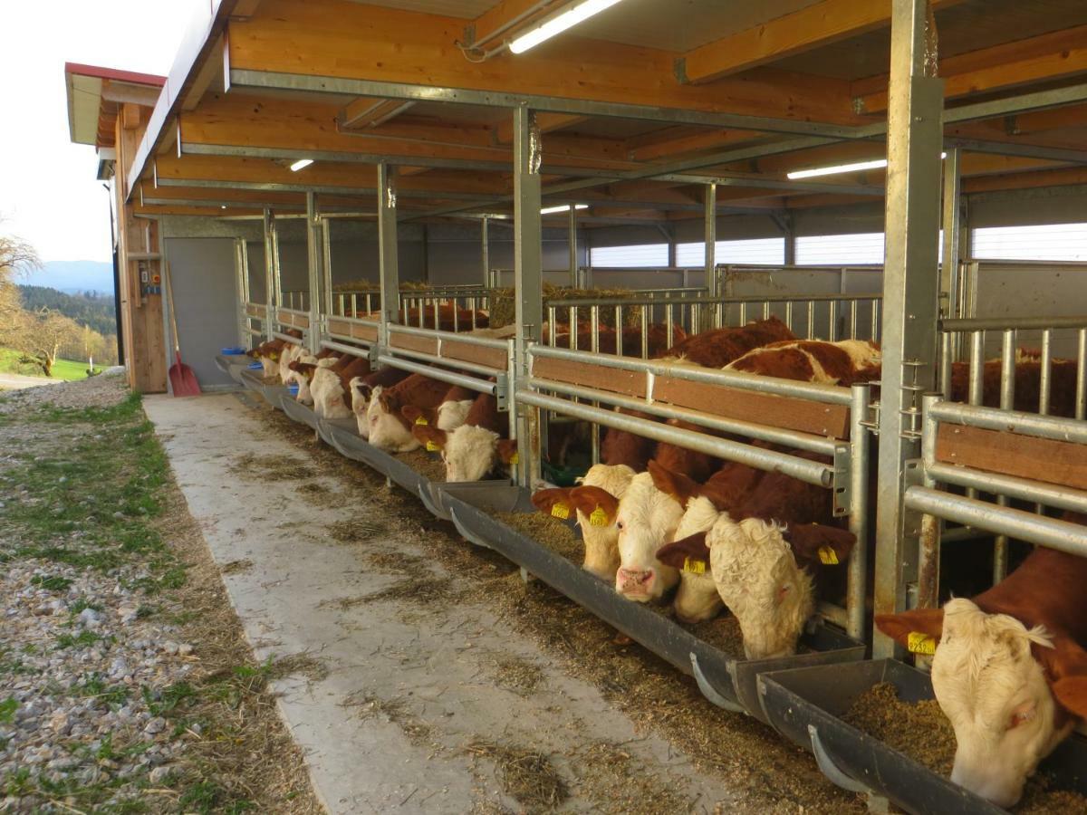 Ferienwohnungen Bauernhof Schilcher Sankt Stefan im Lavanttal Esterno foto